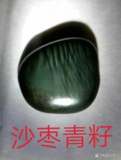 直闪石沙枣青